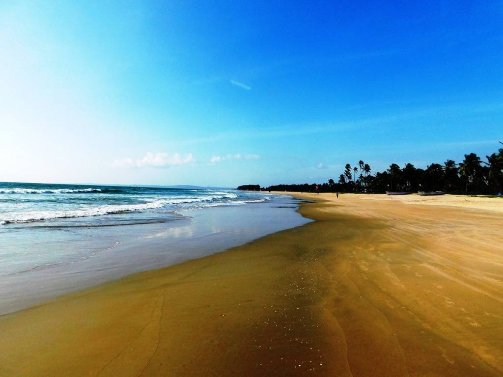 south goa Benaulim Beach